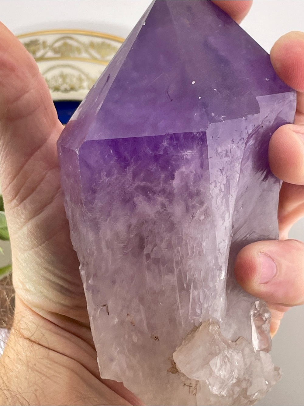 1.9LB Amethyst Root - "Tooth"  Crystal Point / Cluster / Geode